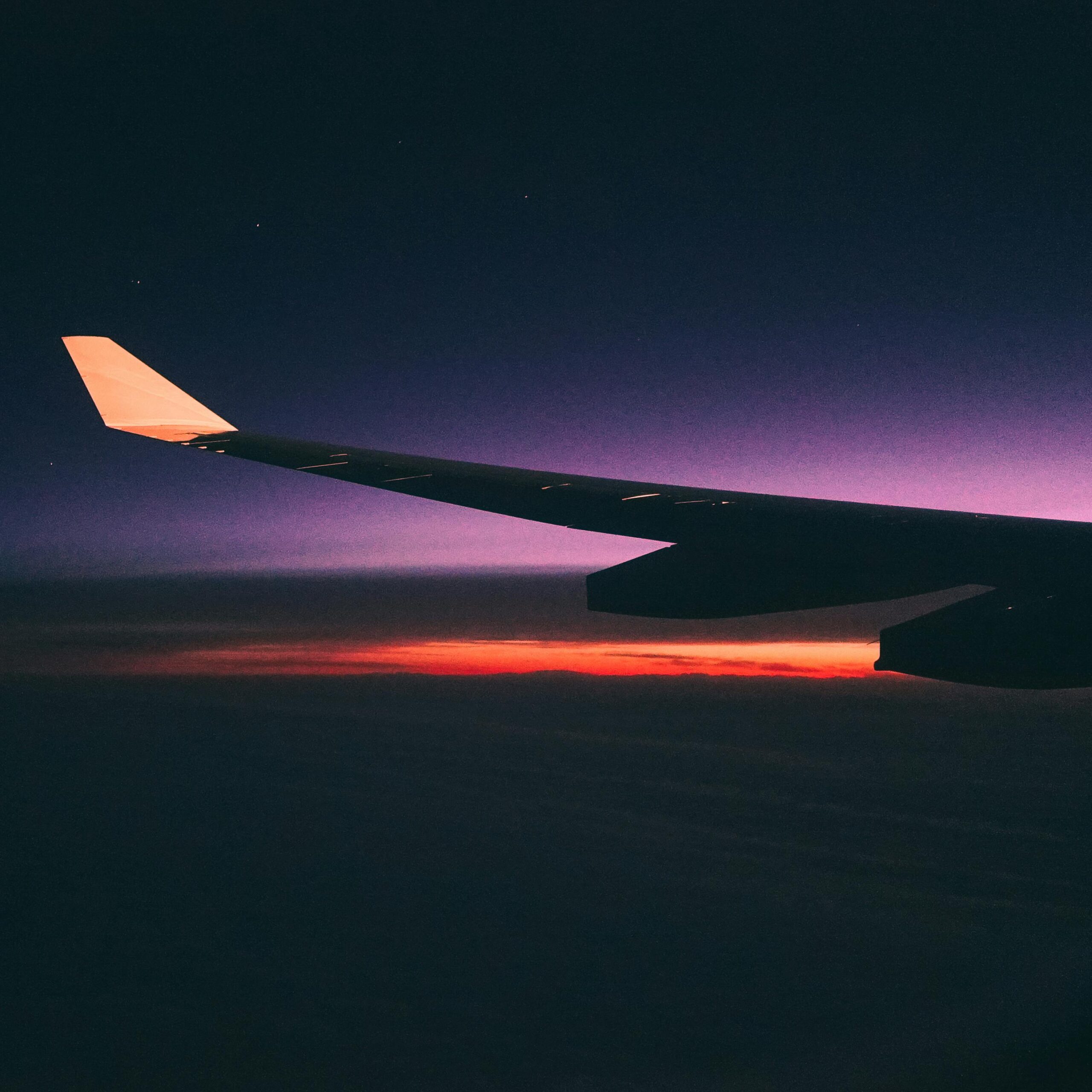 How to Use Google Flights? Find Cheap Google Flights