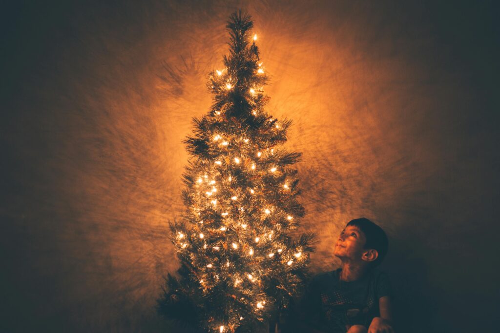 pexels-jeswin-713148-1-1024x683 10 Best Holiday Side Hustles To Make Extra Cash